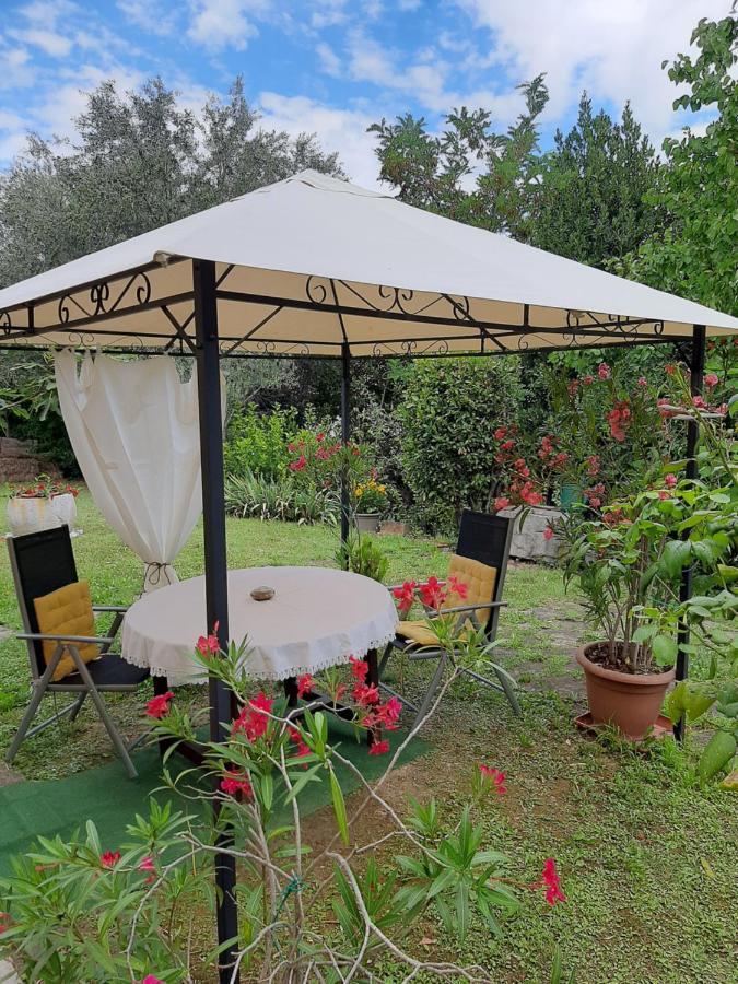 קופר Studio With Garden Near The Sea מראה חיצוני תמונה